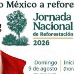 reforestar 2