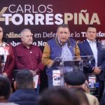 Carlos Torres Piña